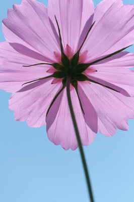 Cosmos-7