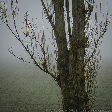 untitled shoot-2186
