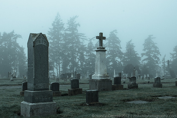 Foggy Day-2313