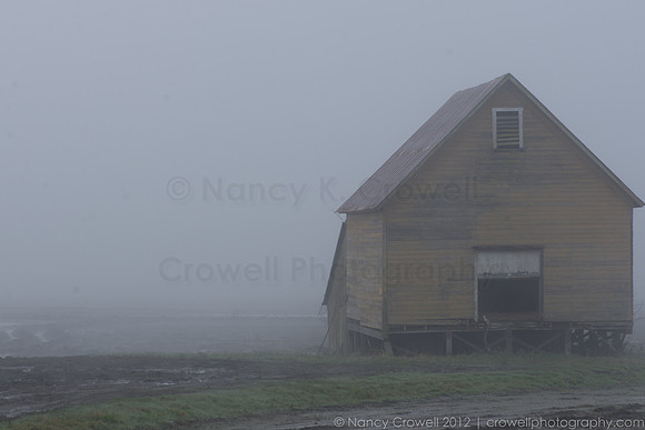 Foggy Day-2206