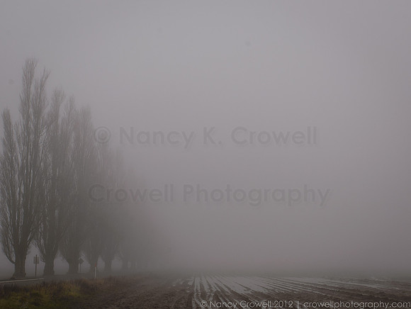 Foggy Day-2342