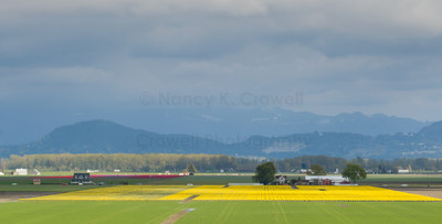Skagit Valley 2
