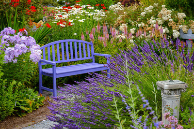 Garden Bliss