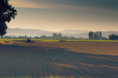 farming-1
