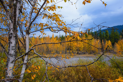 Autumn 6