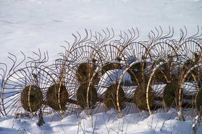 rust in snow