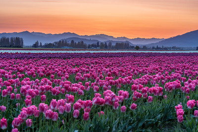 Valley Sunrise