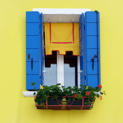 Burano Yellow