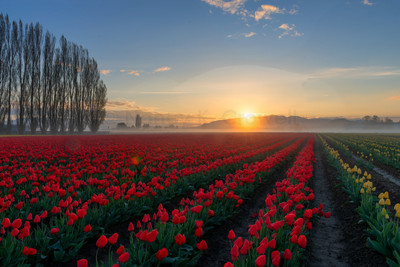 Spring in the Valley