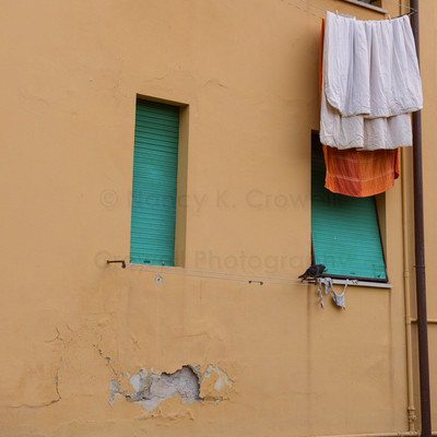 Pisa