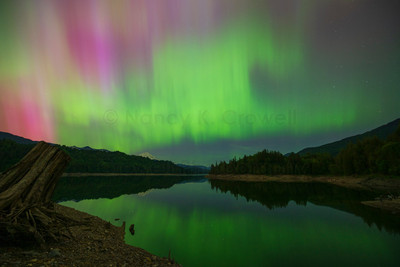 Aurora-3