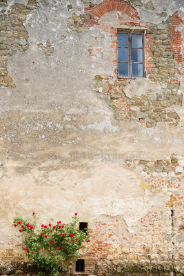 Window and roses