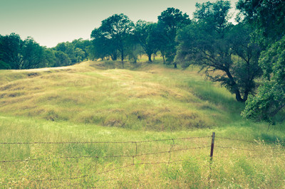 California -6