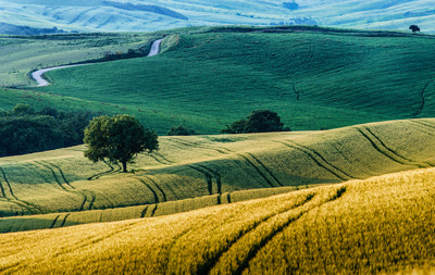 Rolling Tuscan hills