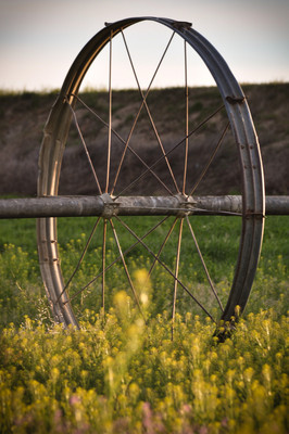 irrigation-2