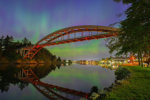 Aurora-8