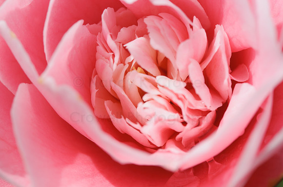 spring-3