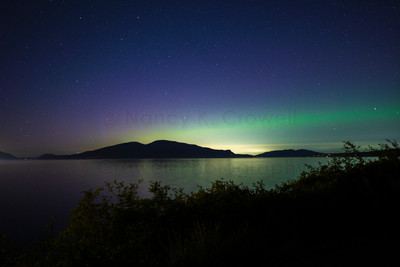 Aurora-9
