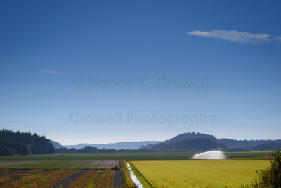 Skagit Valley Farming-1