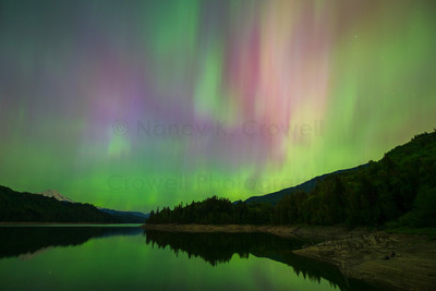 Aurora-4