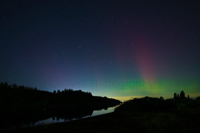 Aurora-14