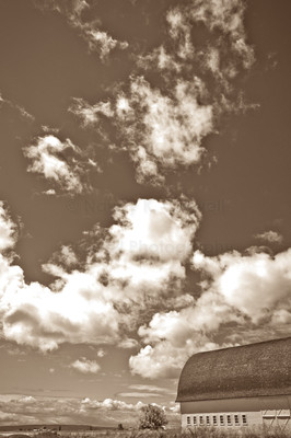 white barn-1